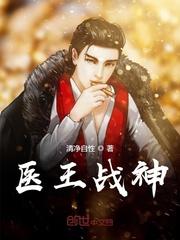 战神医婿全集