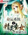 命运系统之精灵圣女女主
