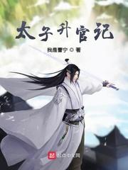 电视剧 太子妃升职记