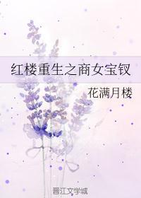 红楼重生之商女宝钗作者花满月楼