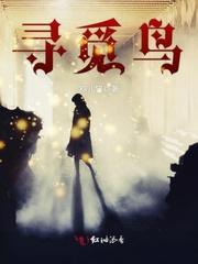 寻觅鸟科技
