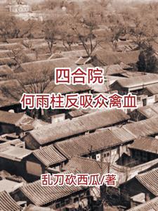 四合院傻柱腹黑