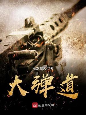 大弹道全文阅读