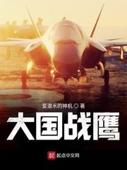 大国战鹰txt