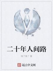 二十年人间路txt
