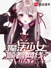 魔法少女顺着网线打人了txt