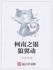 柯南之银狼翼动完本神站