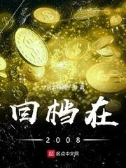 回档在2008番外