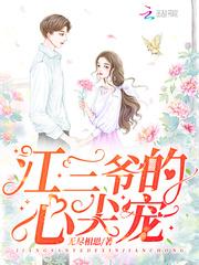 无尽相思江三爷的心尖宠