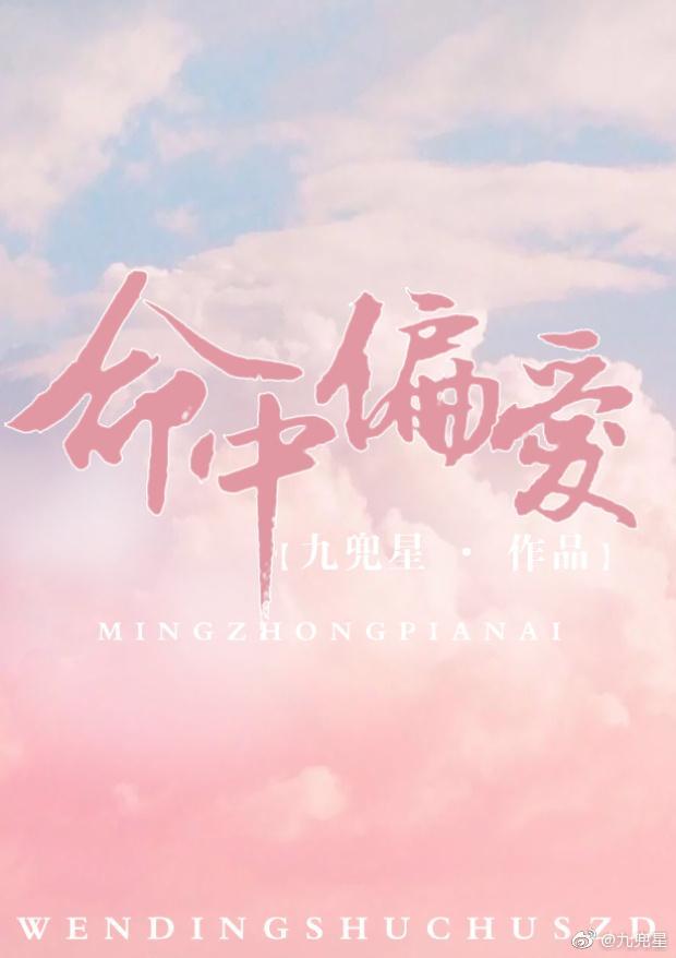 命中偏爱九兜星txt