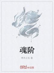 魂阶领取
