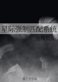 星际强制匹配系统免费阅读