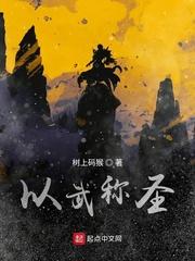 以武称圣免费