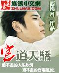 官道天骄(风流小二)