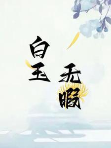 白玉无瑕打一字是什么