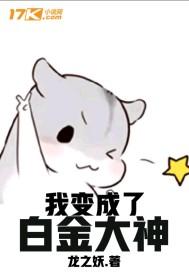 我变成了白金大神17K
