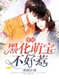 叶蓁傅立恒免费