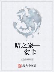 暗夜之旅攻略