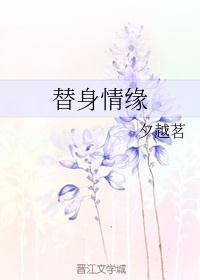 替身情缘 王刚讲故事