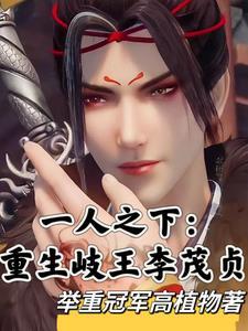 岐王李茂贞地盘