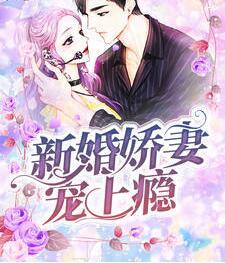 新婚娇妻宠上瘾全文免费完整版