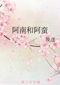 阿南和阿蛮类似