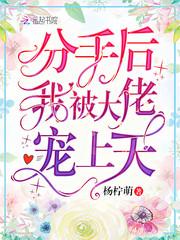 分手后我被大佬宠上天 向宁全文免费阅读