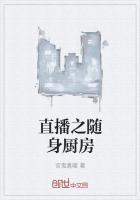随身小厨房