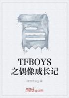 Tfboys偶像手记