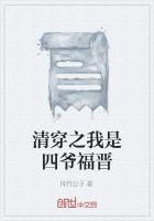清穿四爷嫡福晋的有哪些
