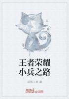 王者荣耀阿轲与小兵