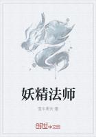 夜光法师妖精学院