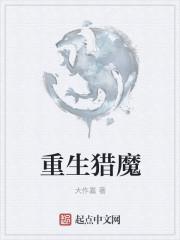 重生猎魔纹章