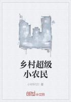 乡村透视小农民