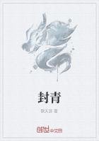 封卿叶非晚全文免费阅读