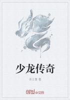 少龙传奇百科