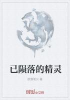 陨落人间的精灵