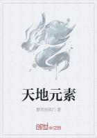 天地元素一共有几种