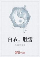 白衣胜雪对什么