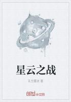 星云之战灵石