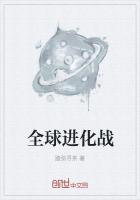 全球武道进化