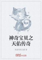 神奇宝贝之协调训练家系统