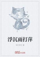 半世浮沉雨打萍