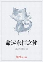 永恒之轮前传解析