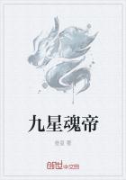 九星龙魂是什么