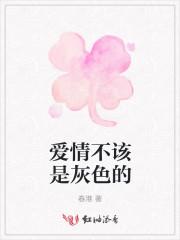 爱情不该是灰色的歌词