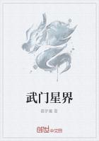 星门皓星界是什么