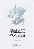 穿越之王爷咱不约