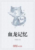 龙之记忆