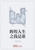 歌曲辉煌人生
